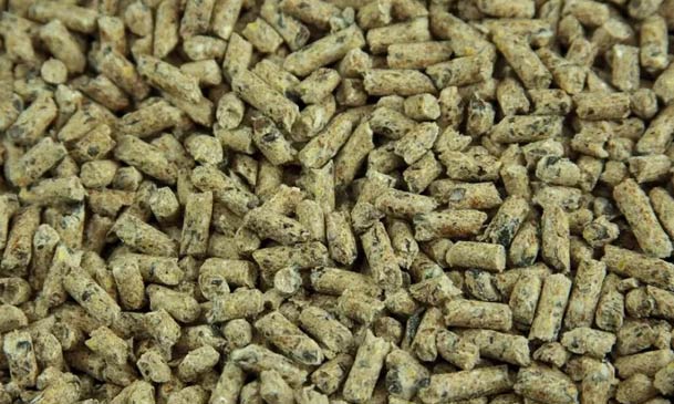 sheep goat feed pellets