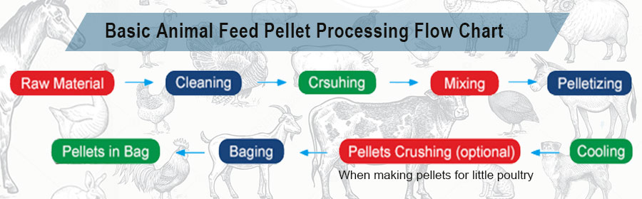 animal poultry feed processing flow chart