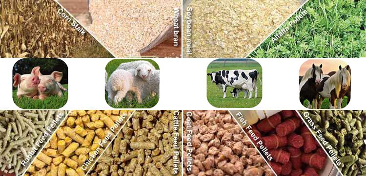 animal feed pellets