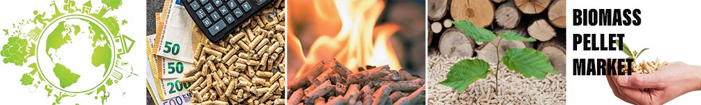 Regional Trends in Biomass Pelleting Market Development