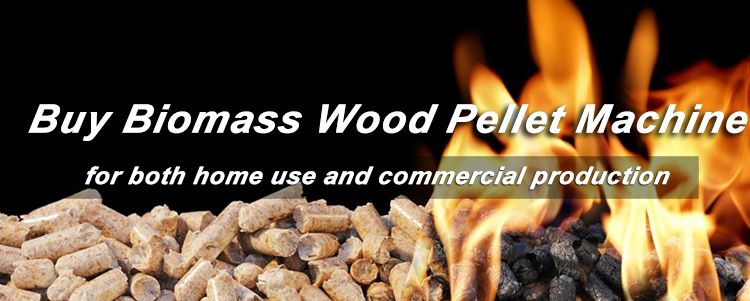 buy biomass wood briquette machine