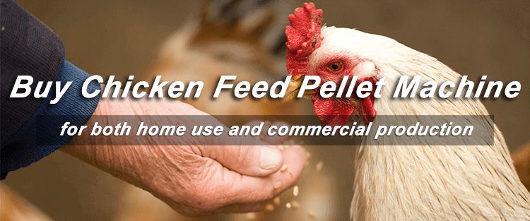 buy chicken feed pellet machine