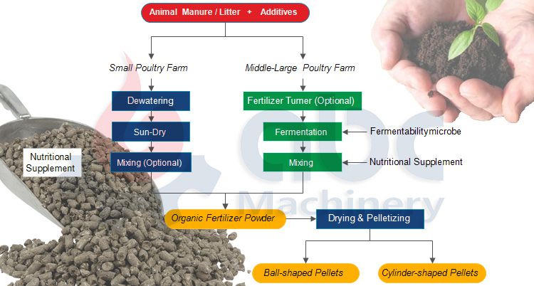 Chicken Manure Fertilizer Pellet Production Process