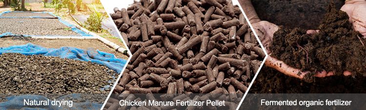 Chicken Manure Fertilizer Types