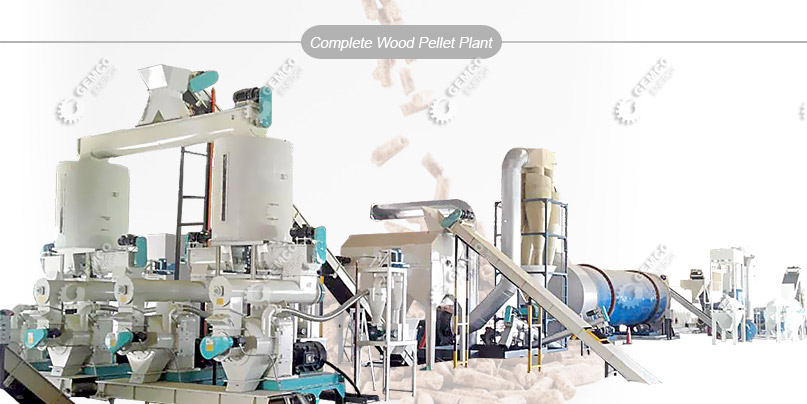 set up efficient wood pelletizing plant