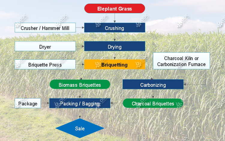 elephant grass briquetting process