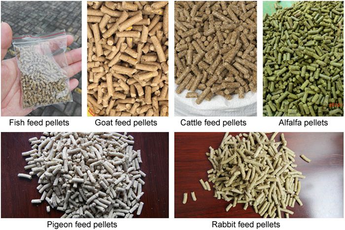 Make Feed Pellets for Your Animal with GEMCO Feed Pellet Mill Make Feed Pellets for Your Animal with GEMCO Feed Pellet Mill