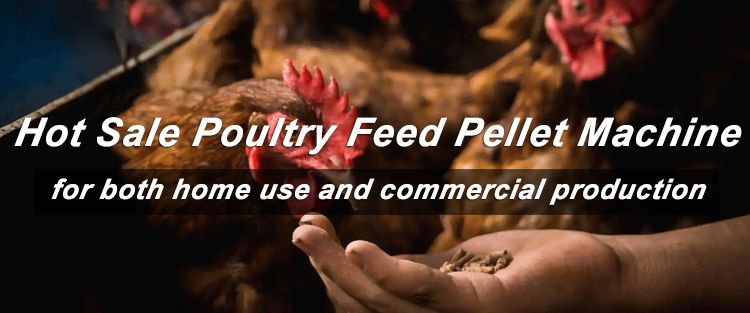 hot sale poultry feed pellet machine