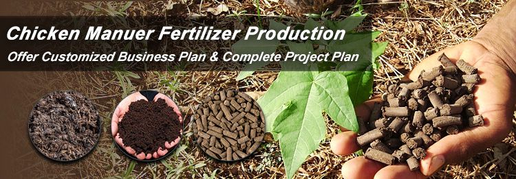 Make Organic Fertilizer Pellet from Chicken Manure