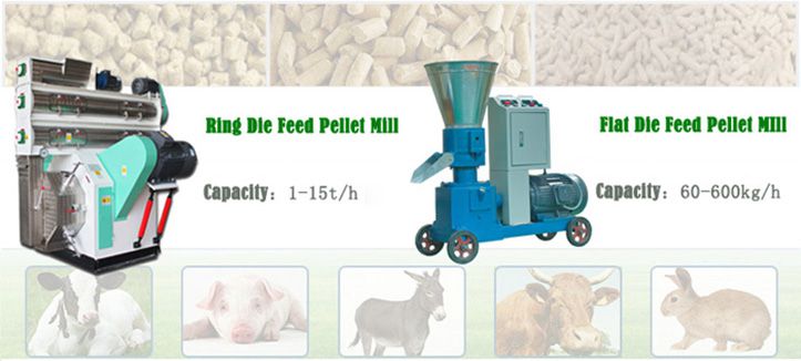 Making Grass Pellets for Feed by Pellet Mill