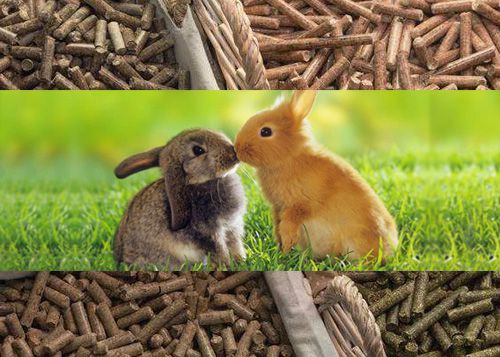 Nutritional Requirement of Raising Rabbit feed pellet