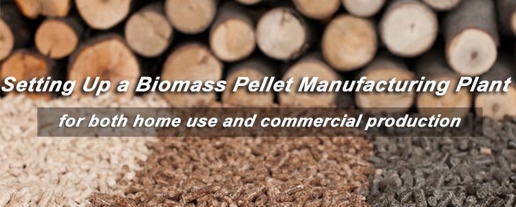 Set Up a Biomass Pellet Manufacturing Plant