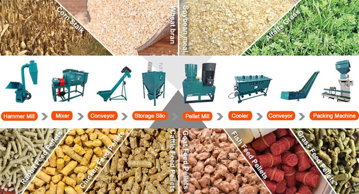 cattle feed pellet plant