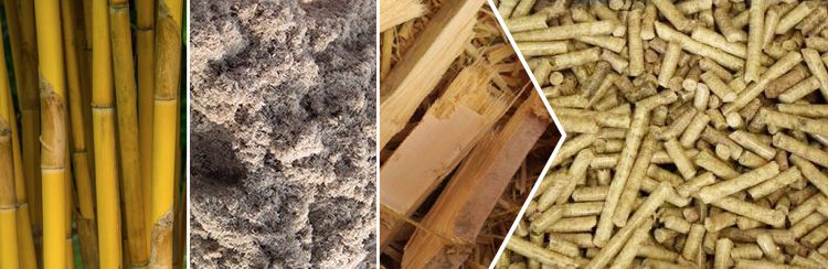 Start Bamboo Pellet Business