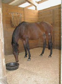 wood pellet horse bedding