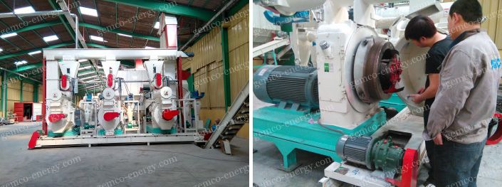 wood pellet mill commissioning