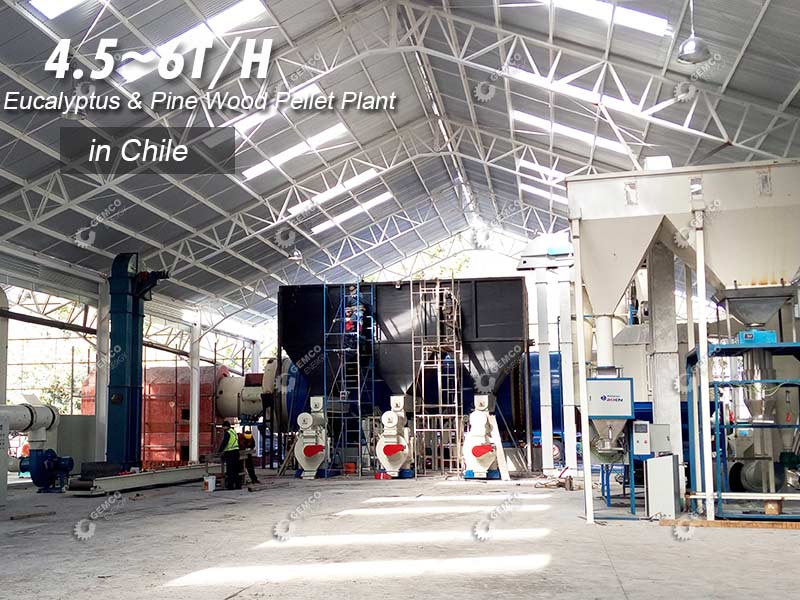 wood pellet production plant business setup in Chile