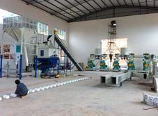 8TPH wood pellet plant