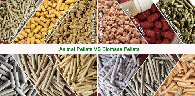 Animal Pellets VS Biomass Pellets