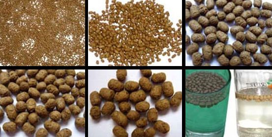 Floating Fish Feed or Sinking Fish Feed