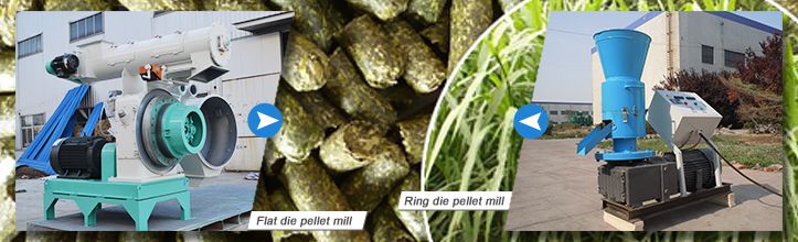 elephant grass pellet mill