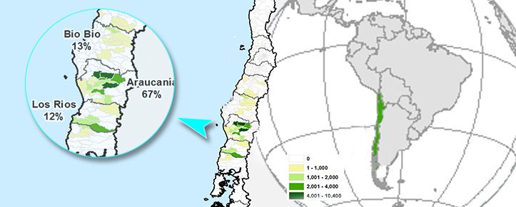 Map of Poultry Production In Chile