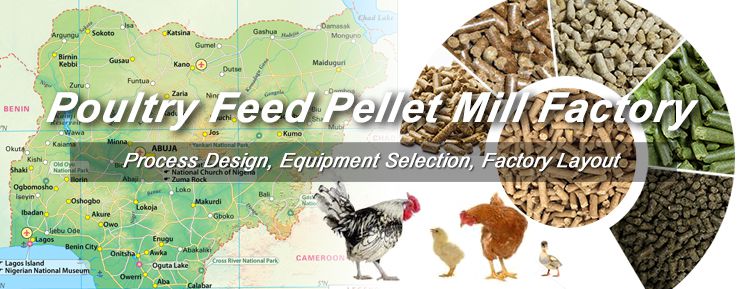 Nigeria Poultry Feed Pellet Business