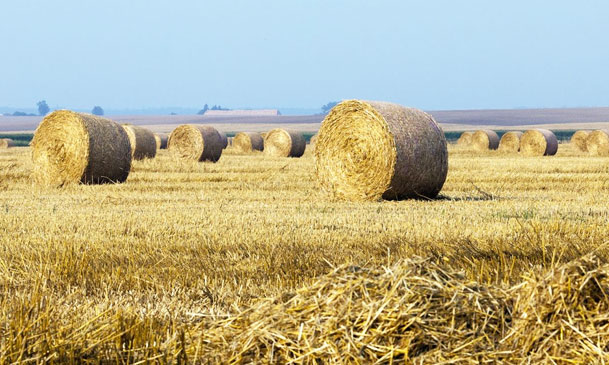 agriculture waste for pelletizing