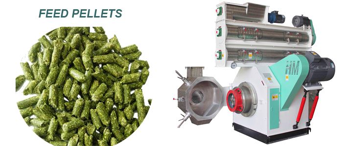 alfalfa pellet mill for animal feed