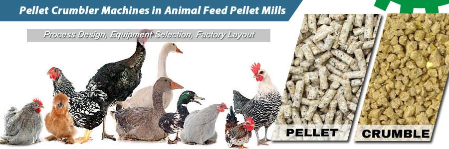 Pellet Crumbler Making Crumble Feed in Animal Feed Pellet Production Line