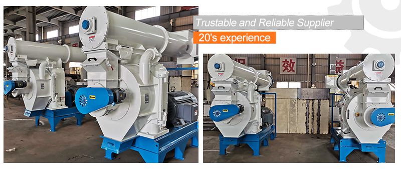 bagasse pellet mill for sales