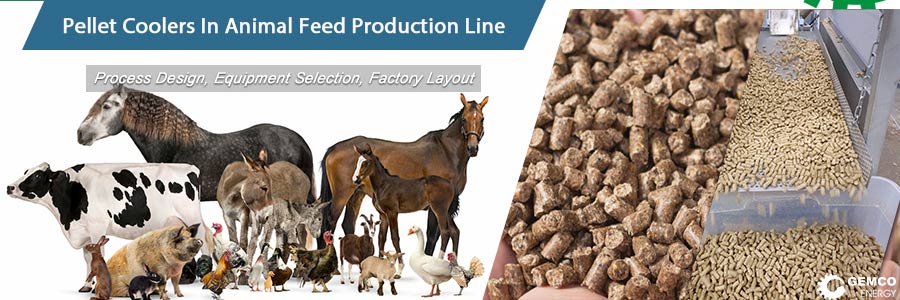 animal feed pellet cooler machine in animal feed plant