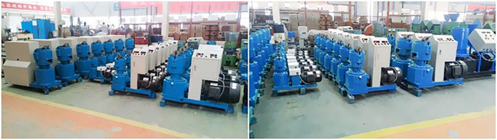 Biomas Pellet Machine Manufacturer