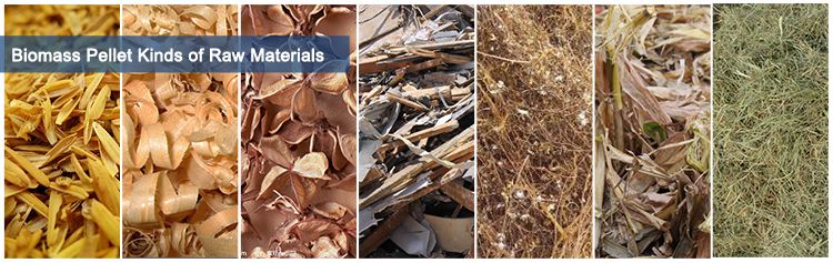 Biomass Materials and Biomass Pellets