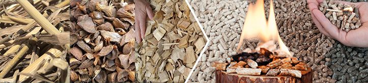 Biomass Pellets Made by GEMCO Pellet Machine