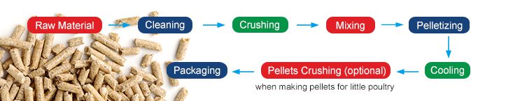 Biomass Wood Pellet Production Process