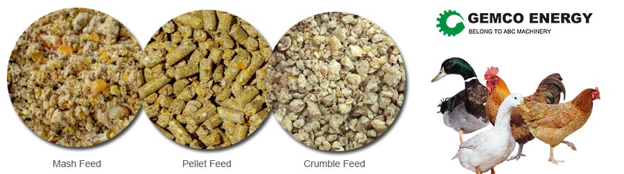 chicken feed pellets or crumbles or mash