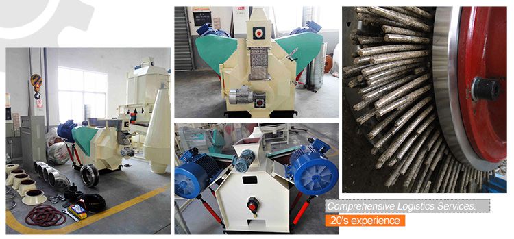 Buy Small Ring Die Pellet Machine