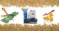 How to Buy a Cost-effective Pelletizer Machine Online?