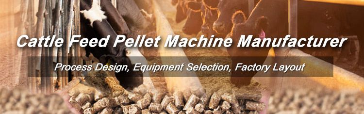 Cattle Feed Pellet Making for Farming Business