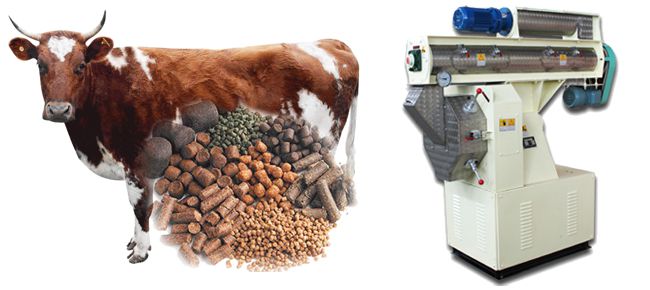 cattle feed pellets