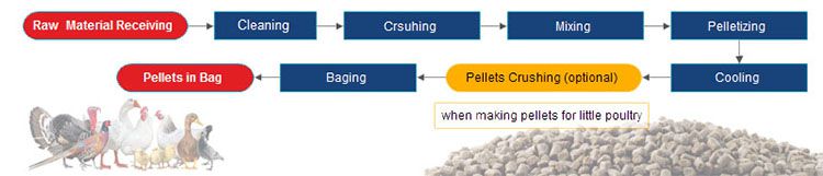 chicken feed pellet process design