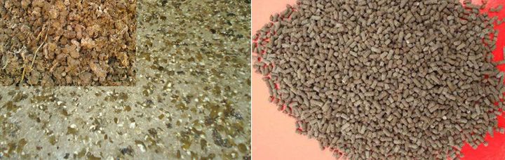 Chicken Manure into Pellet Fertilizer