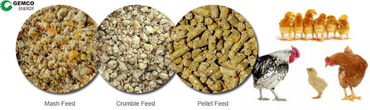 different types for chicken feed