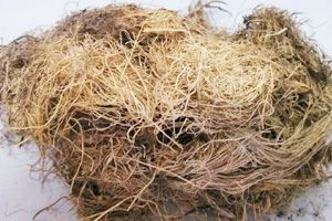 EFB palm fiber