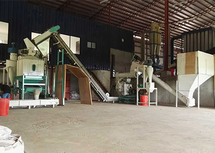 1.5T/H Elephant Grass Pellet Processing Plant in Philippine