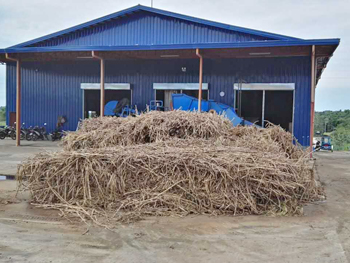 Elephant Grass Pellet Mill Turn Waste into Treasure