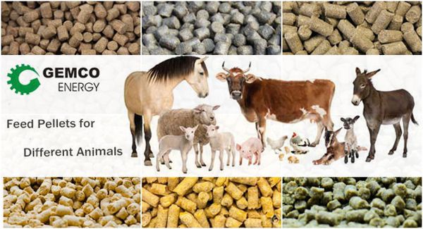 Feed Pellet for Animal