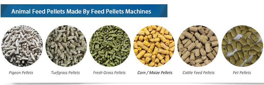 animal feed pellets