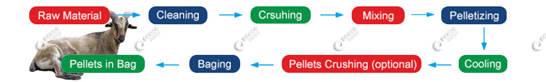 goat feed pellet making process